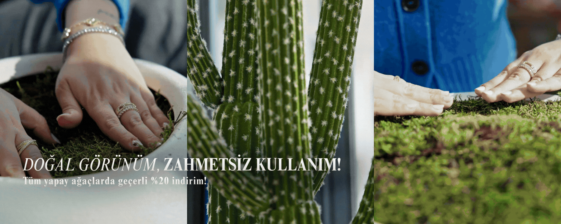 ağaç-banner