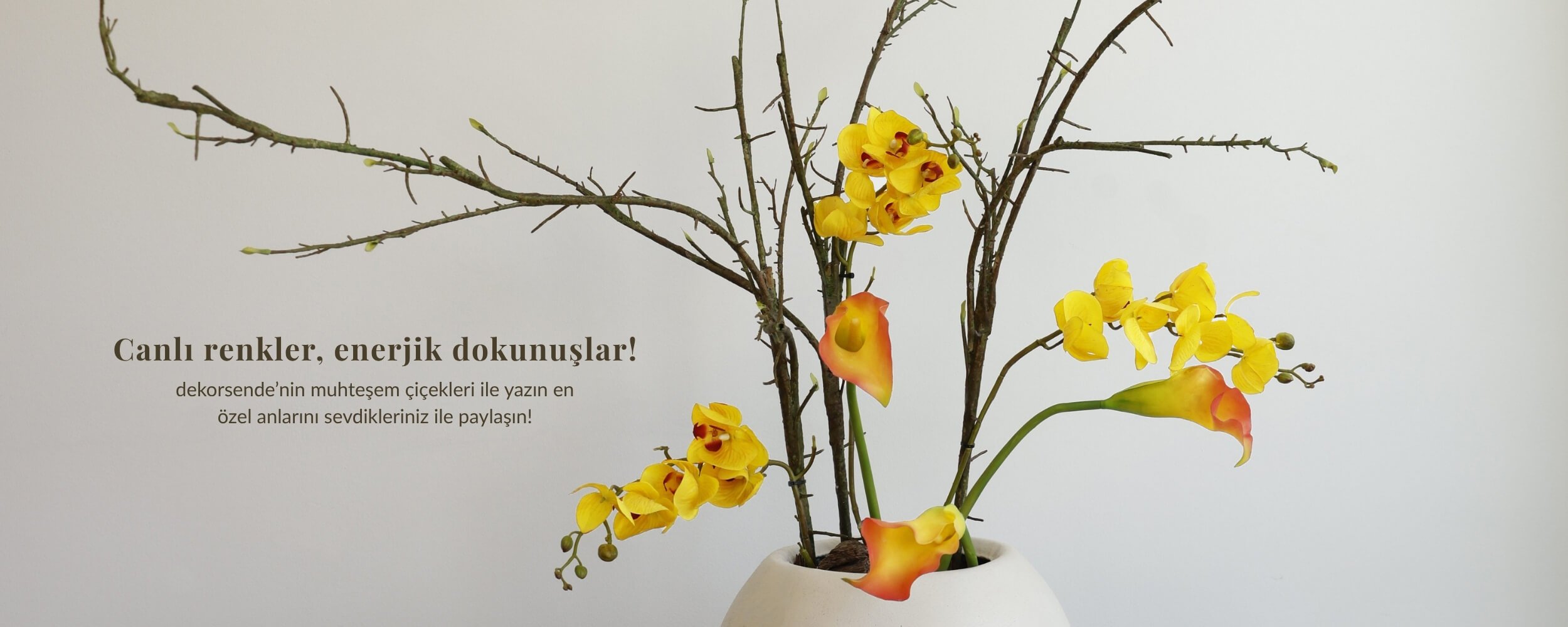 aranjmanbanner