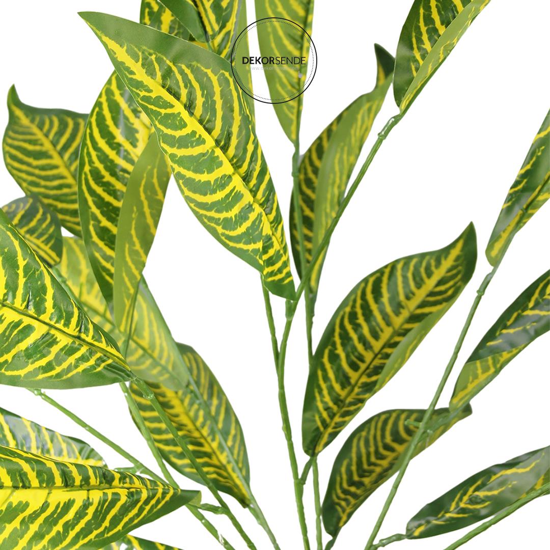 Calethea Demet Sarı Yeşil 55 cm