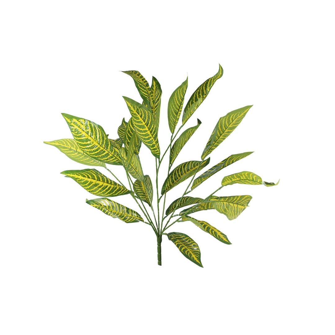 Calethea Demet Sarı Yeşil 55 cm