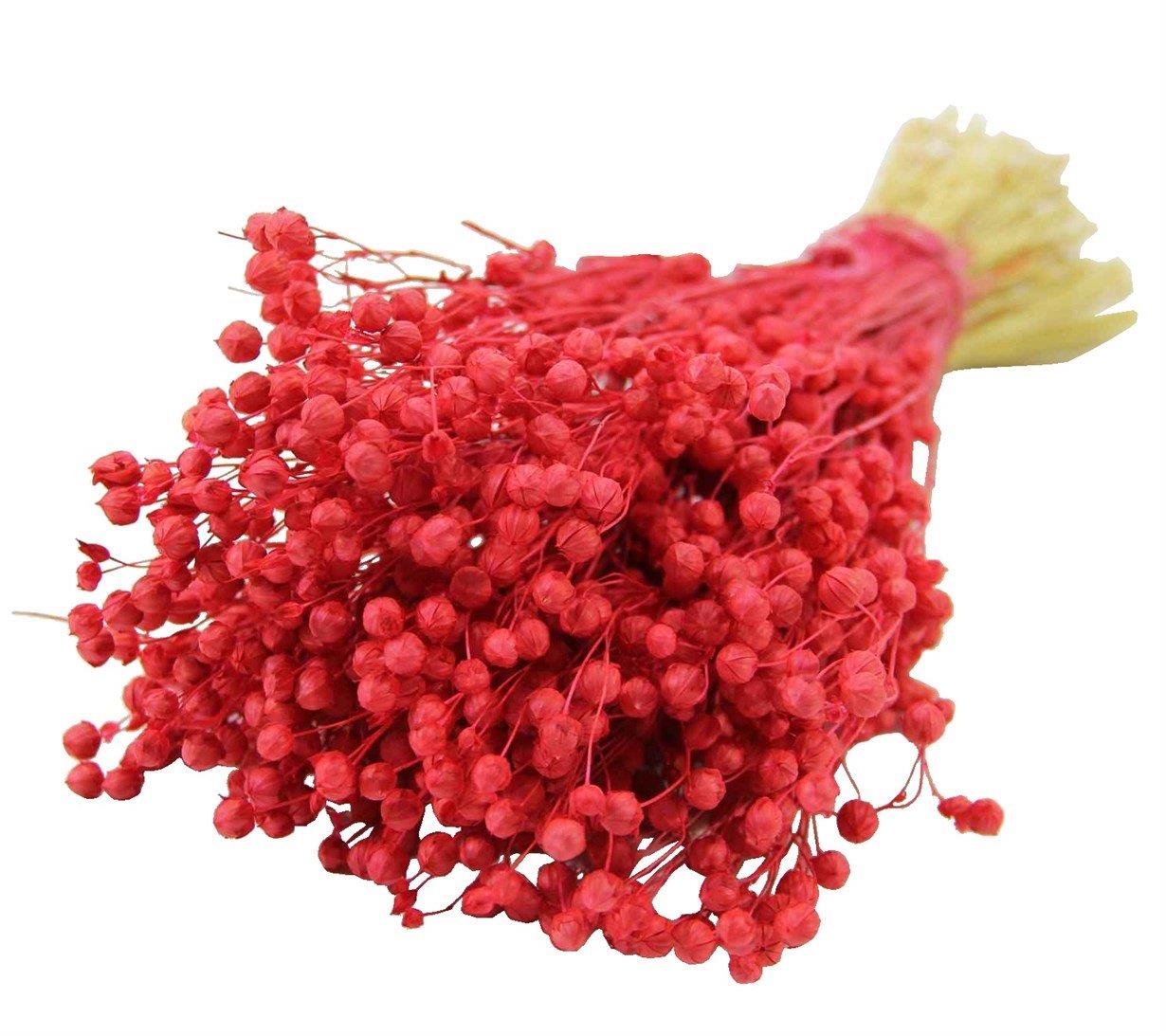 Kurutulmuş Luna (Keten) Demet Kırmızı