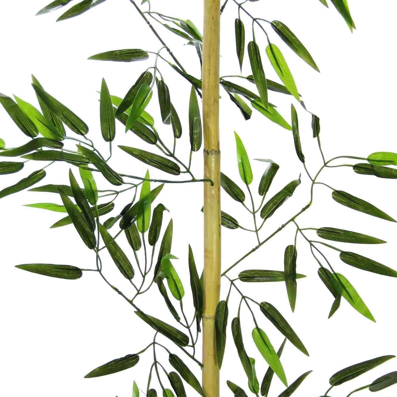 Saksısız Dekoratif 10lu Bambu Seperatör Seti 110 cm