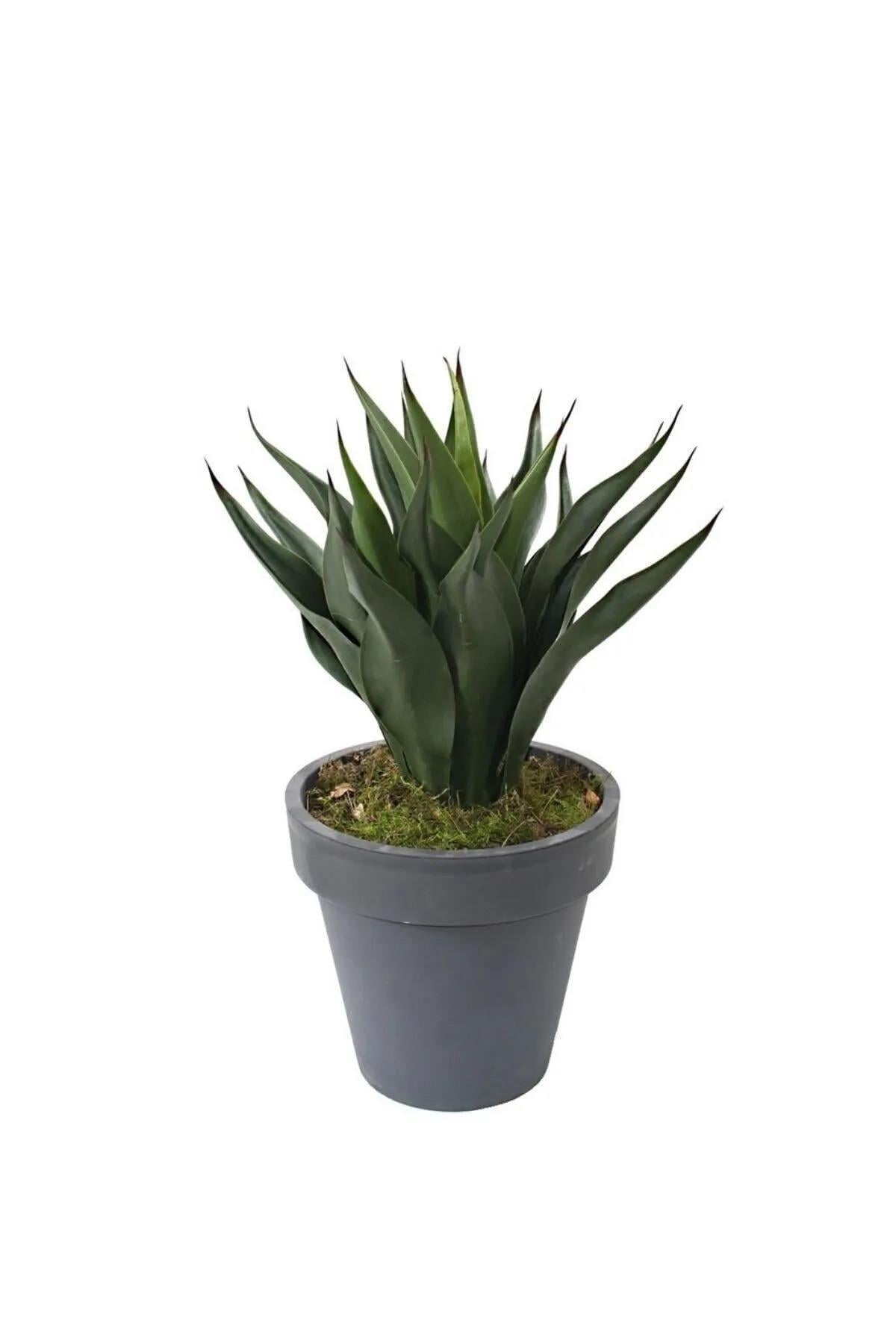 Saksısız Yapay Agave Ağacı 59 cm