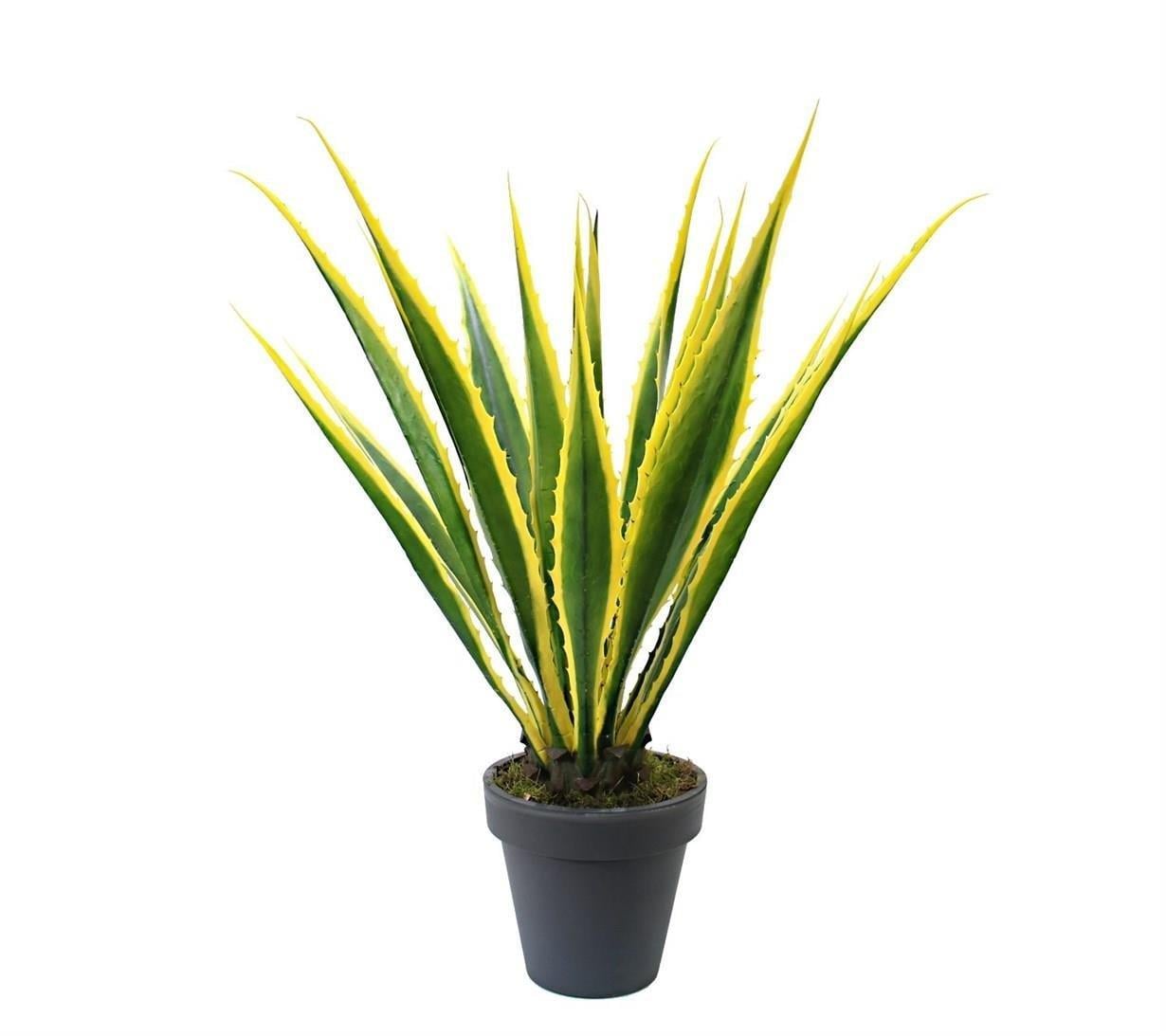 Saksısız Yapay Agave Americana Ağacı 105 cm
