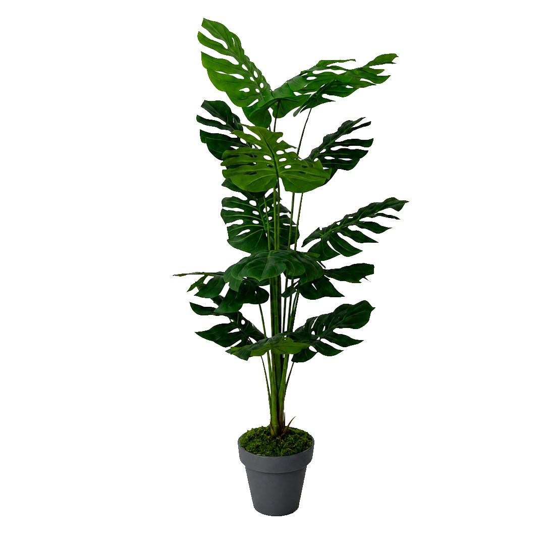 Saksısız Yapay Deve Tabanı (Monstera) Ağaç 175 cm