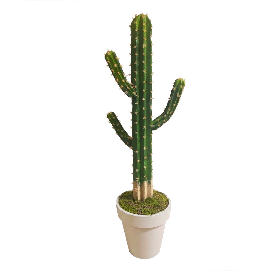 Saksısız Yapay Kaktüs Ağaç 105 cm