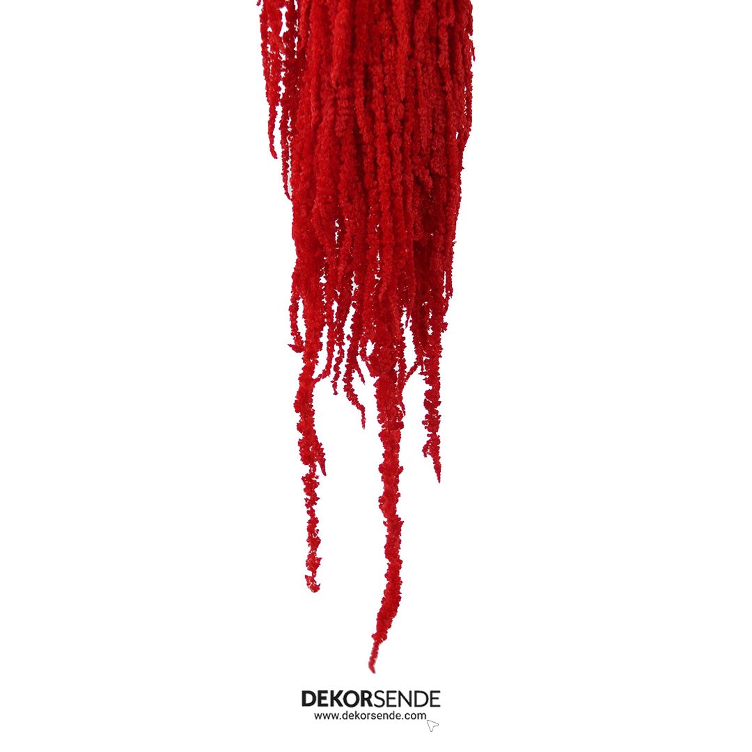 Şoklanmış Amarantus (Amaranthus) Demet Kırmızı 100 cm