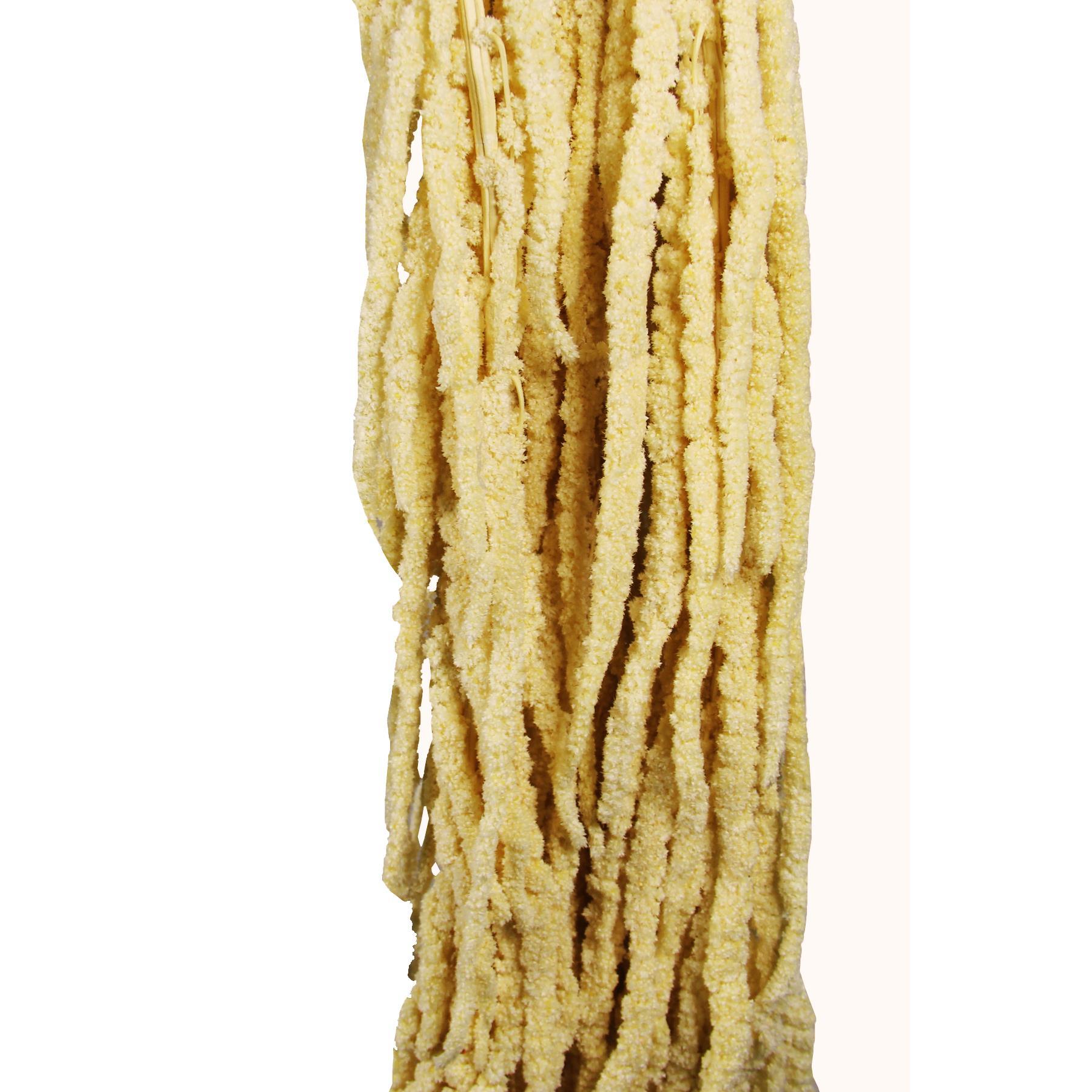 Şoklanmış Amarantus (Amaranthus) Demet 100 cm
