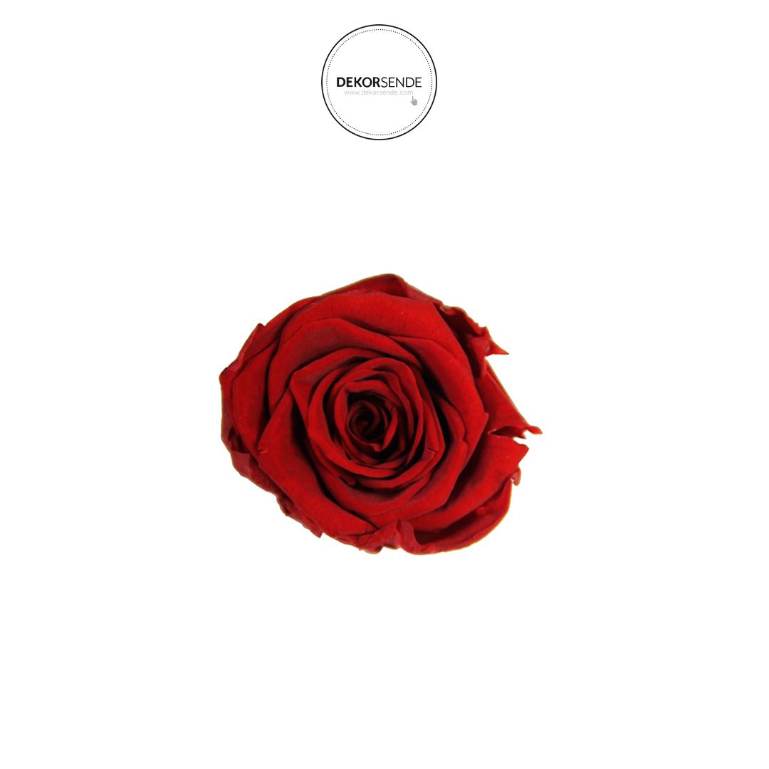 Şoklanmış Kırmızı Gül Kafası 8li