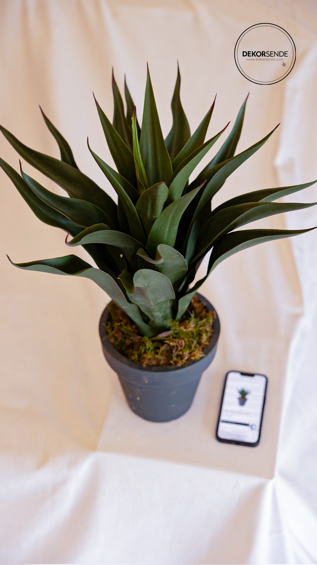Yapay Agave Ağacı 60 cm