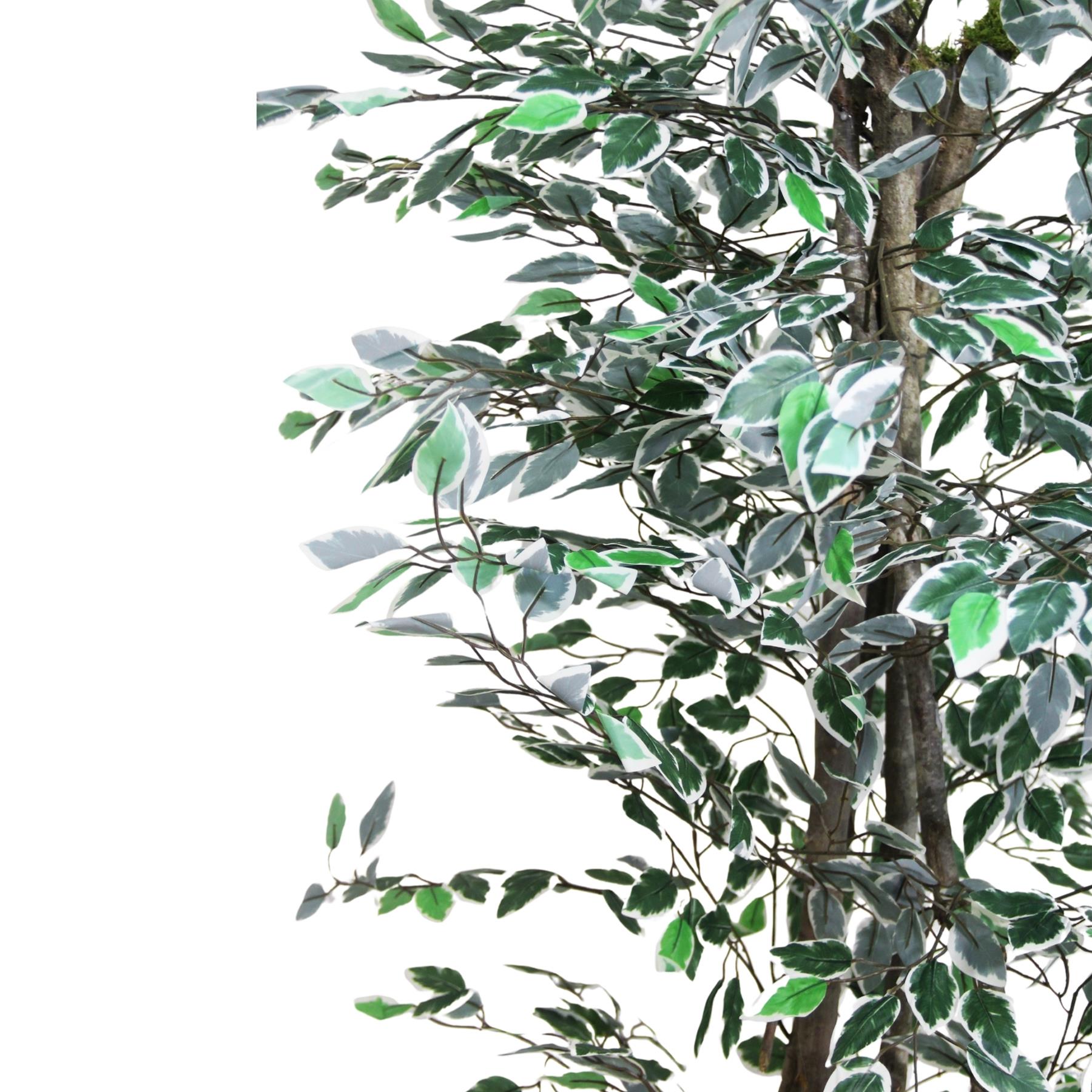 Yapay Alacalı Benjamin Ağacı 170 cm