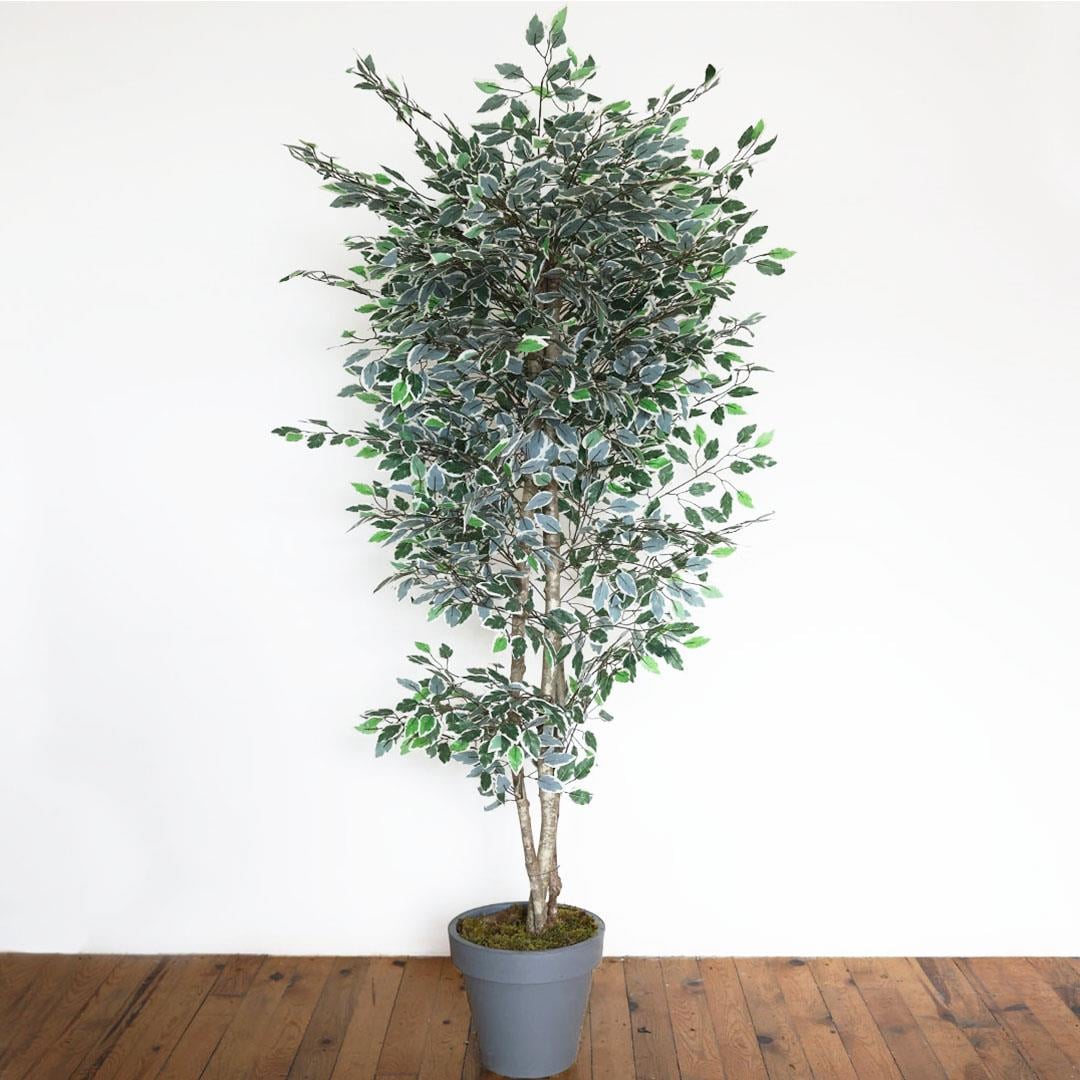 Yapay Alacalı Benjamin Ağacı 170 cm