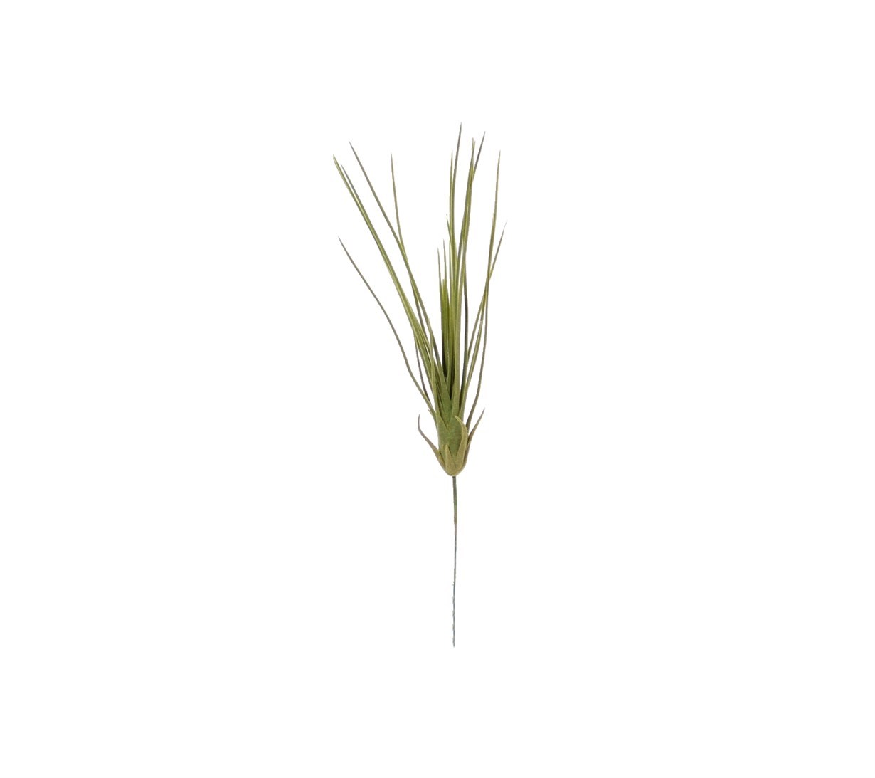 Yapay Aloe Vera Dal Küçük 35 cm