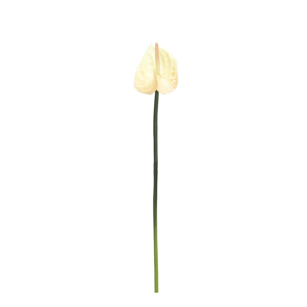Yapay Antoryum Çiçeği Canlı Dokunuş Krem 40 cm