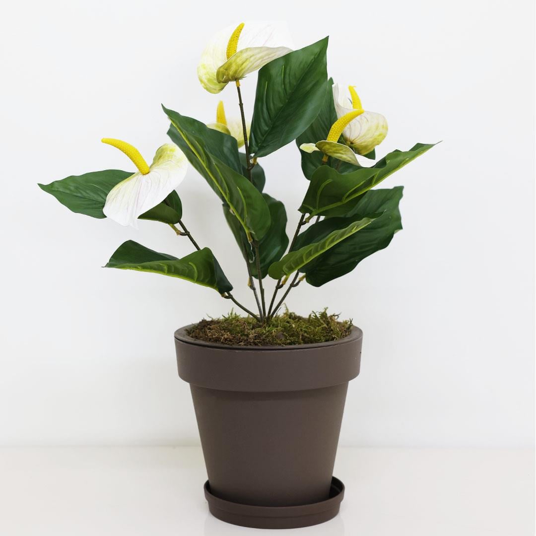 Yapay Antoryum Demeti Beyaz 45 cm