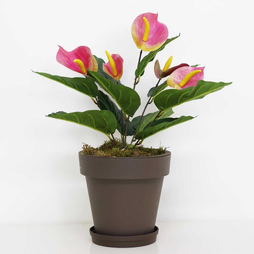 Yapay Antoryum Demeti Pembe 45 cm