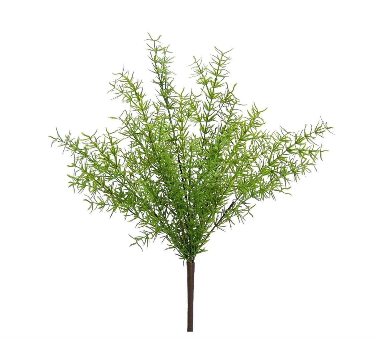 Yapay Asparagus Demet 40 cm