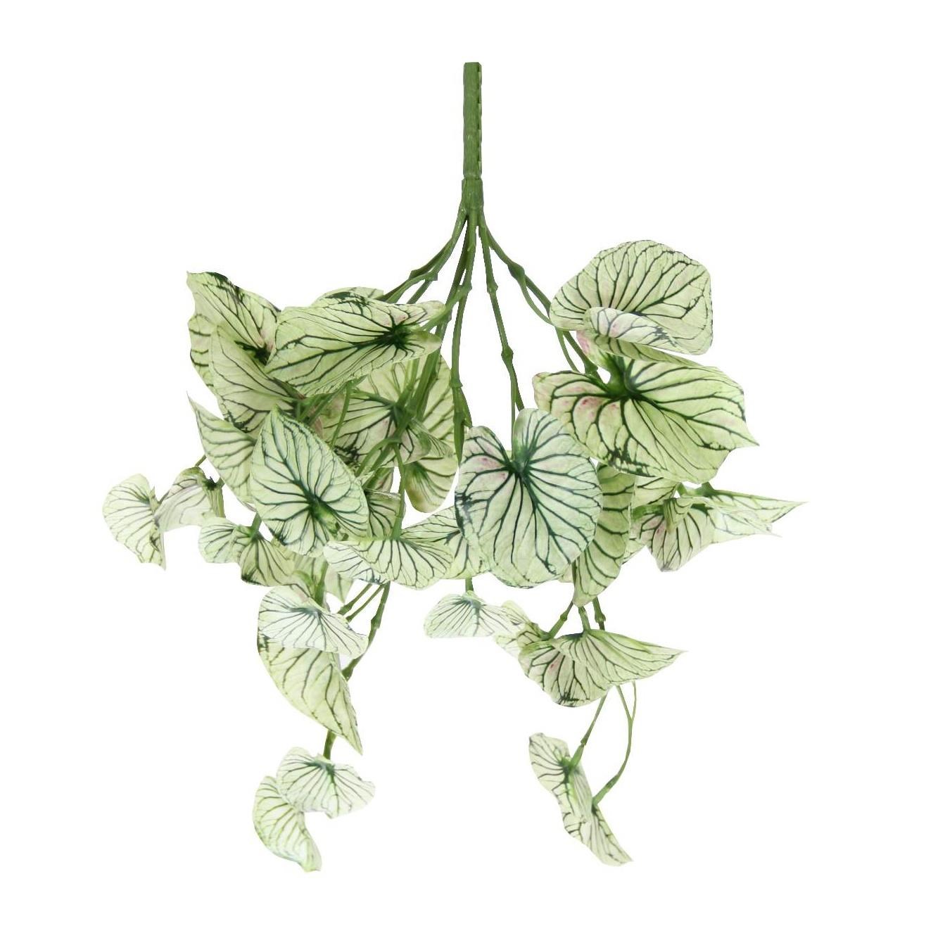 Yapay Caladium Sarmaşık Demet Açık Yeşil 40 cm