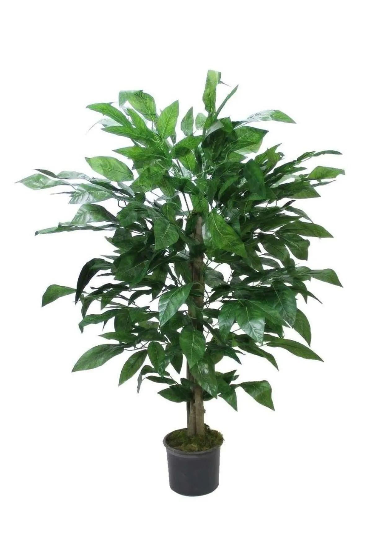 Yapay Ceviz Ağaç 130 cm
