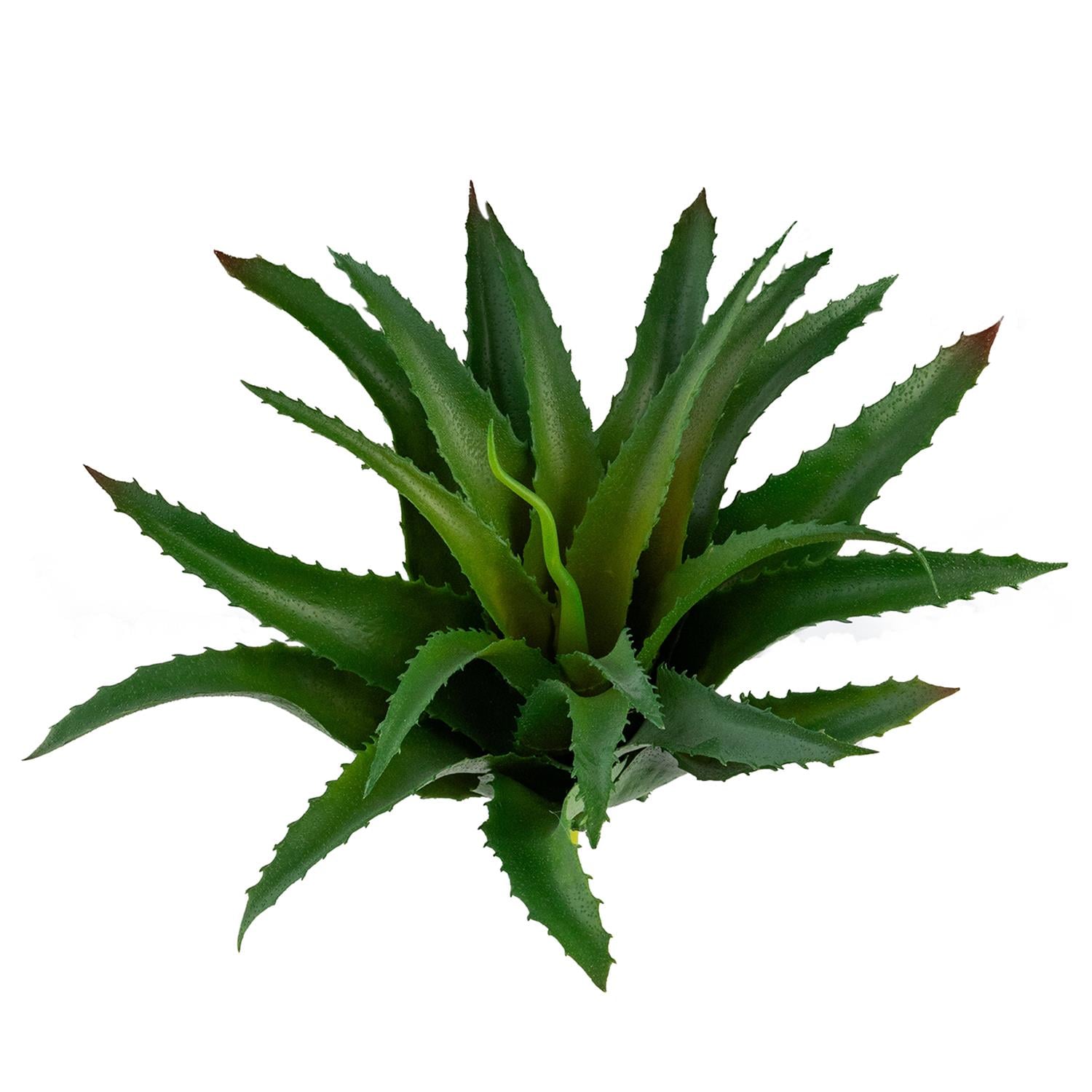 Yapay Sukulent Dikenli Sisal Yeşil 26 cm
