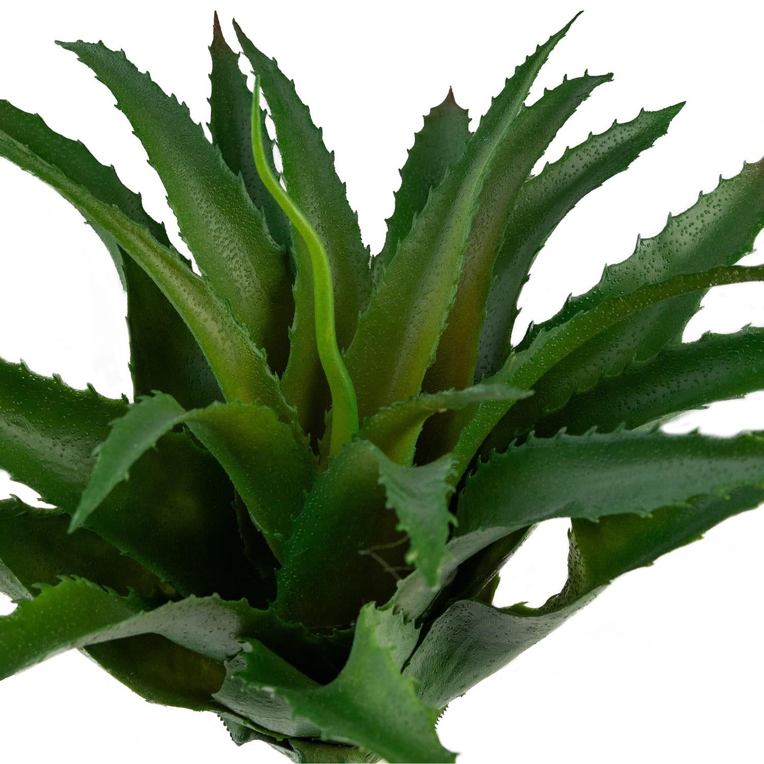 Yapay Sukulent Dikenli Sisal Yeşil 26 cm