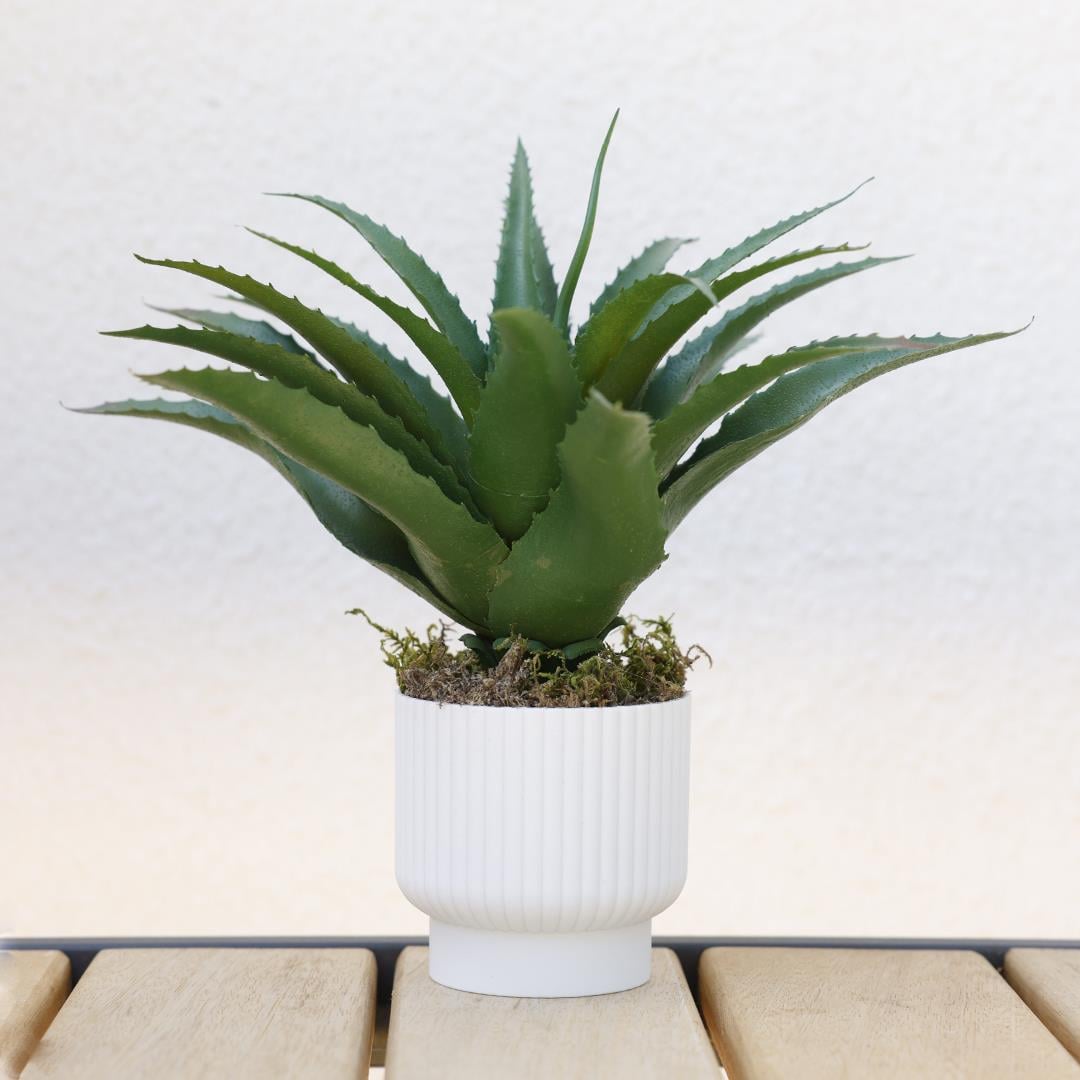 Yapay Sukulent Dikenli Sisal Yeşil 26 cm