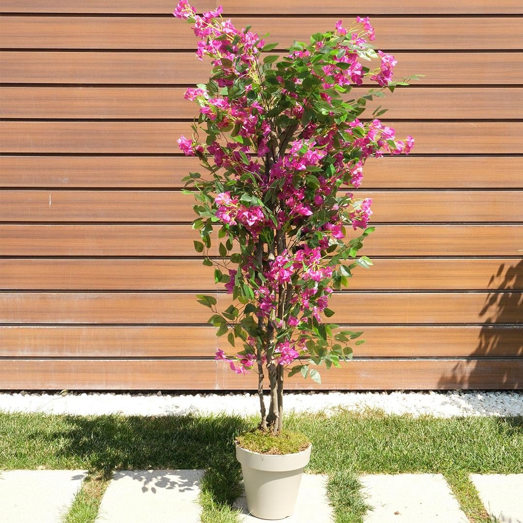 Yapay Fuşya Begonvil Ağaç 170 cm