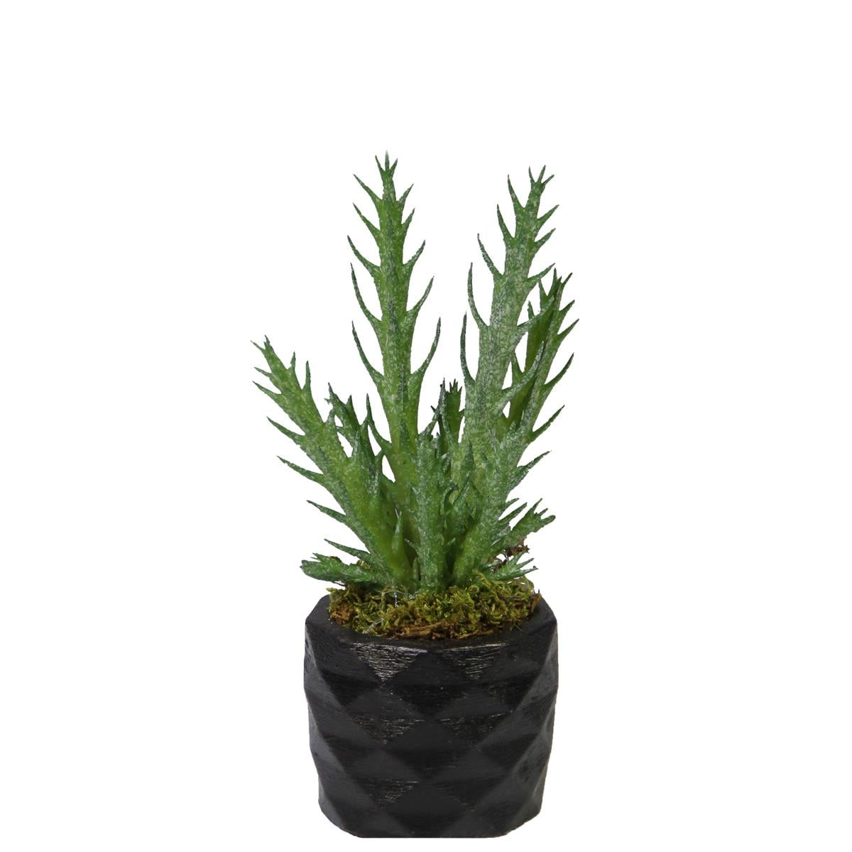 Yapay İğne Yaprak Kaktüs Sukulent Dal Açık Yeşil 16 cm Saksılı