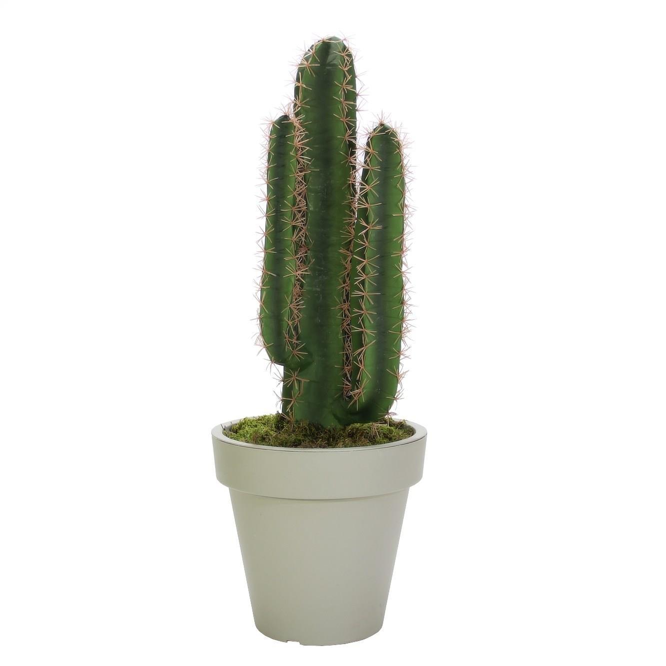 Yapay Kaktüs Küçük 80 Cm