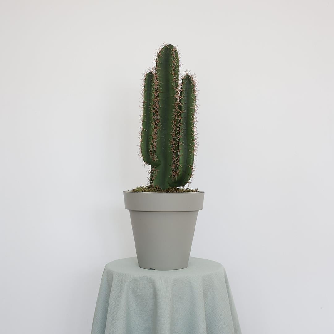 Yapay Kaktüs Küçük 80 Cm