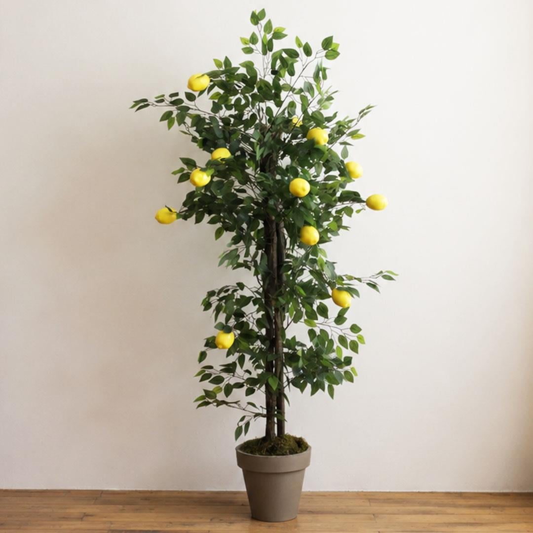 Yapay Limon Ağaç 170 cm