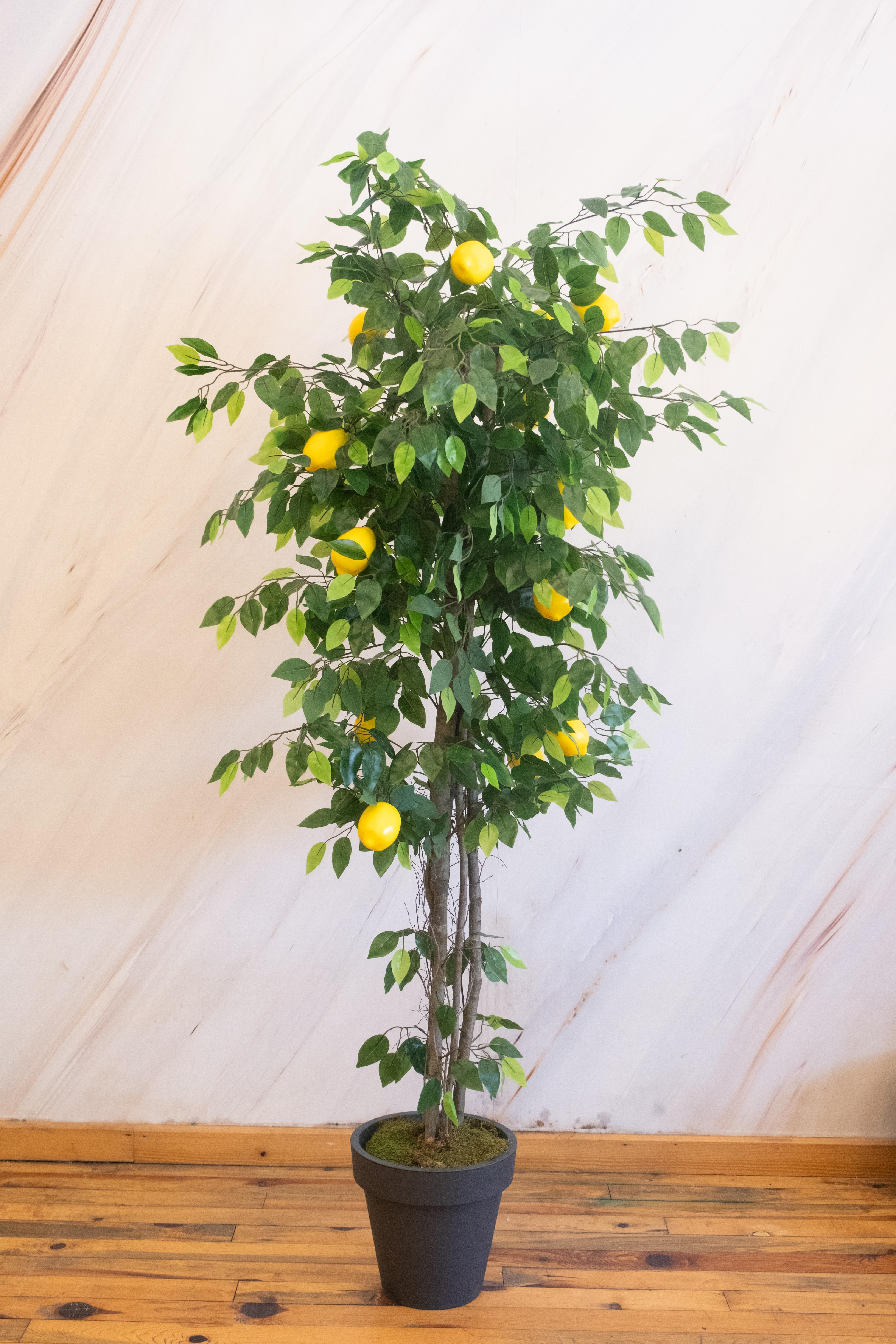 Yapay Limon Ağacı 170 cm