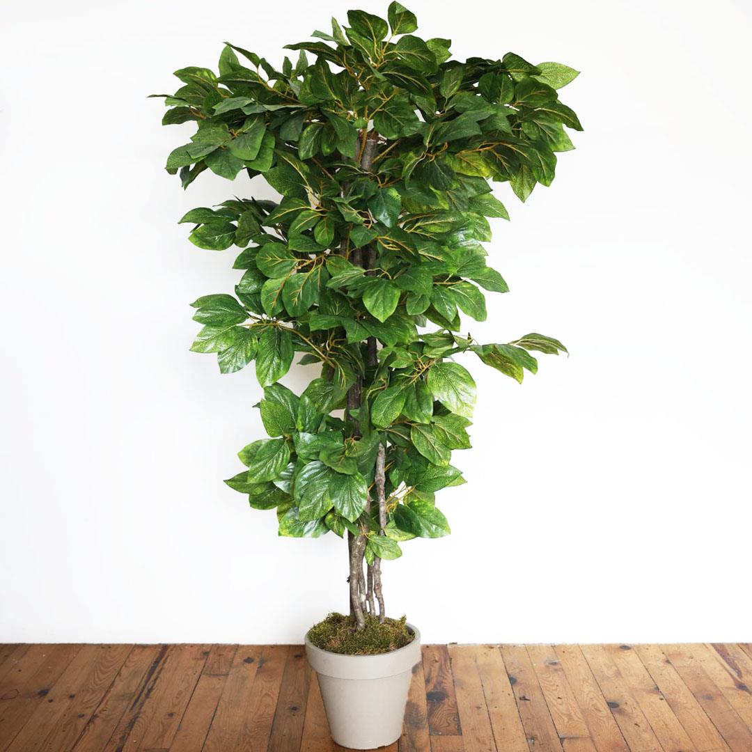 Yapay Mango Ağaç Yeşil 170 cm