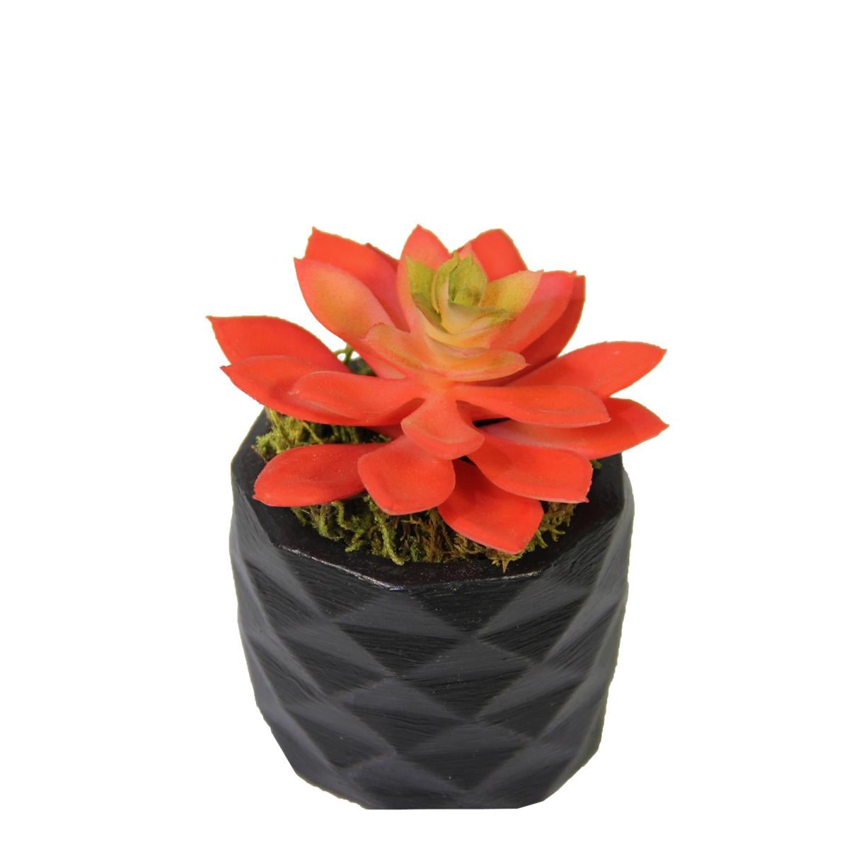 Yapay Mini Echeveria Sukulent Kırmızı 8 cm Saksılı