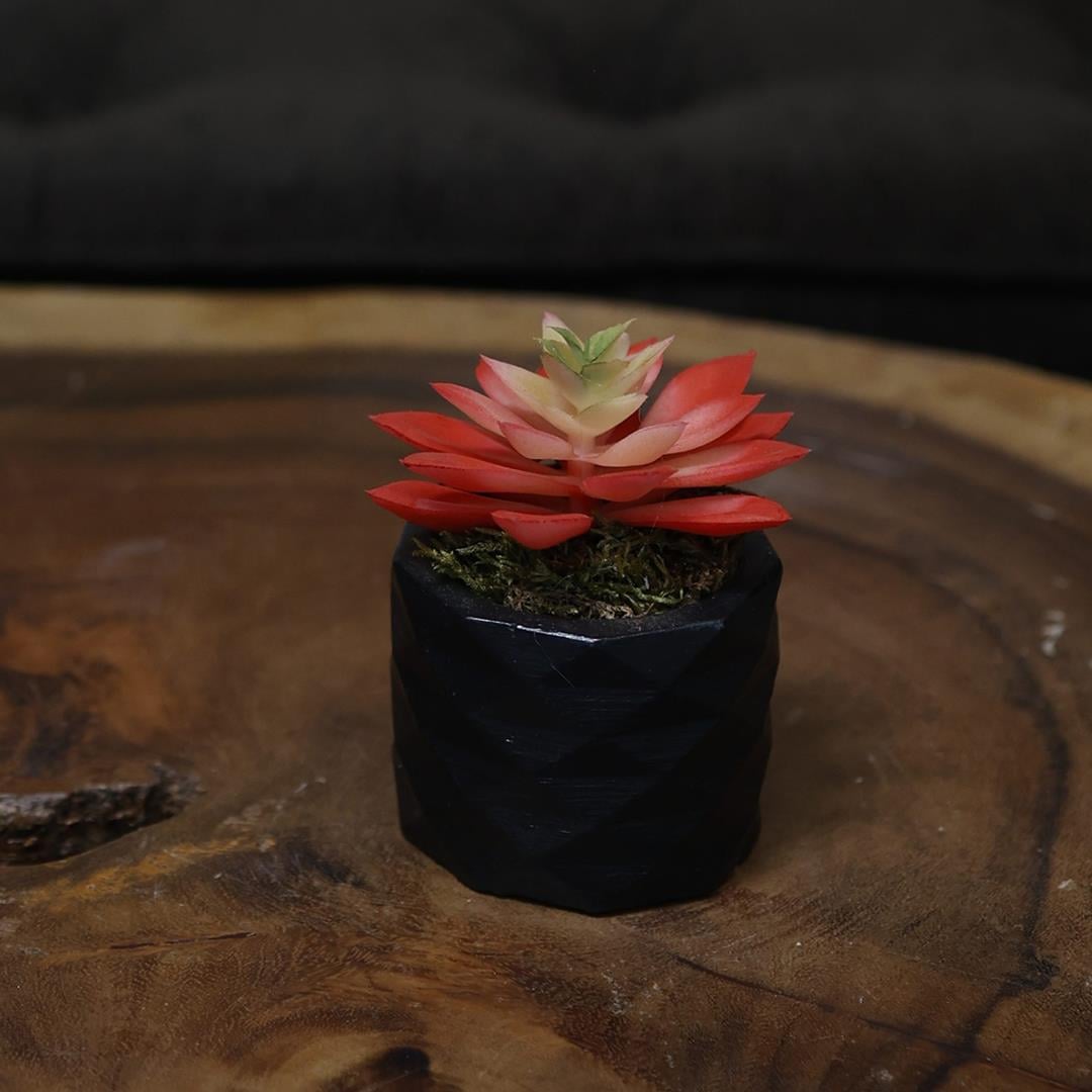 Yapay Mini Echeveria Sukulent Kırmızı 8 cm