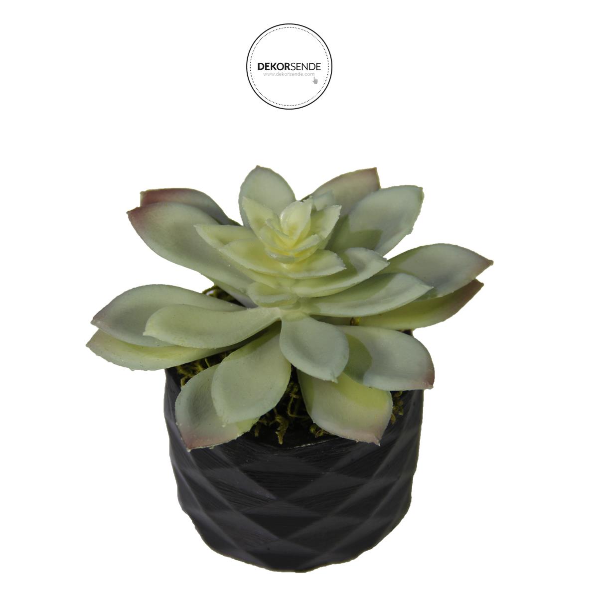 Yapay Mini Etli Echeveria Sukulent Açık Yeşil 12 cm Saksılı