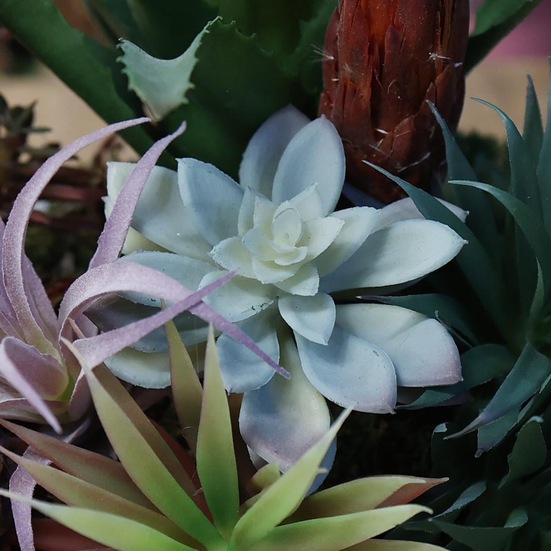 Yapay Mini Etli Echeveria Sukulent Açık Yeşil 12 cm