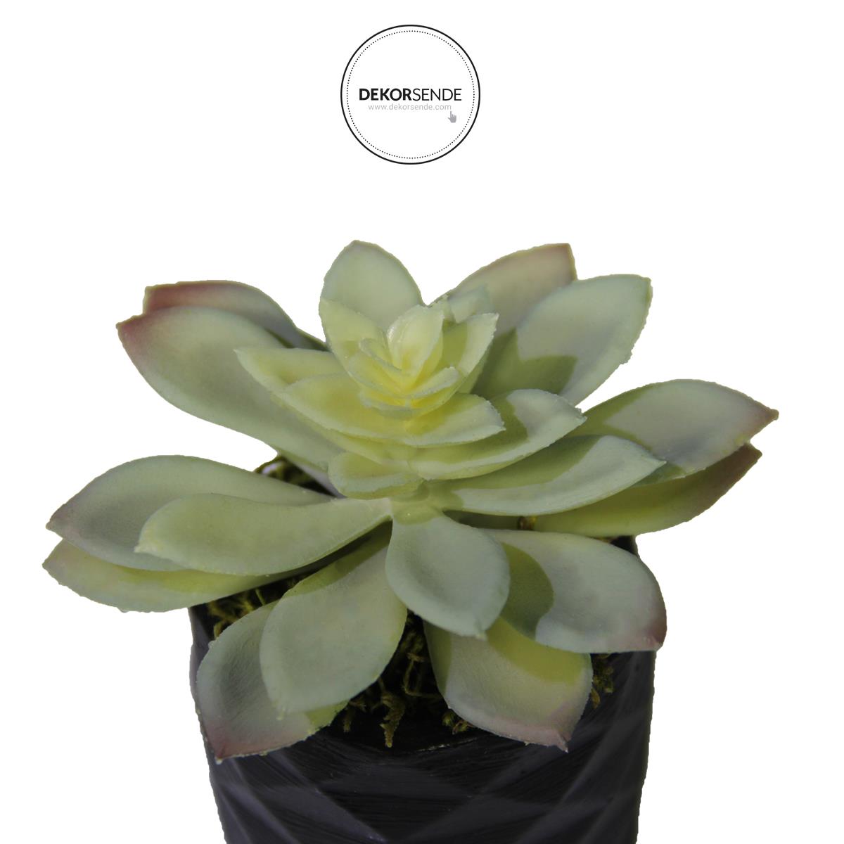 Yapay Mini Etli Echeveria Sukulent Açık Yeşil 12 cm Saksılı