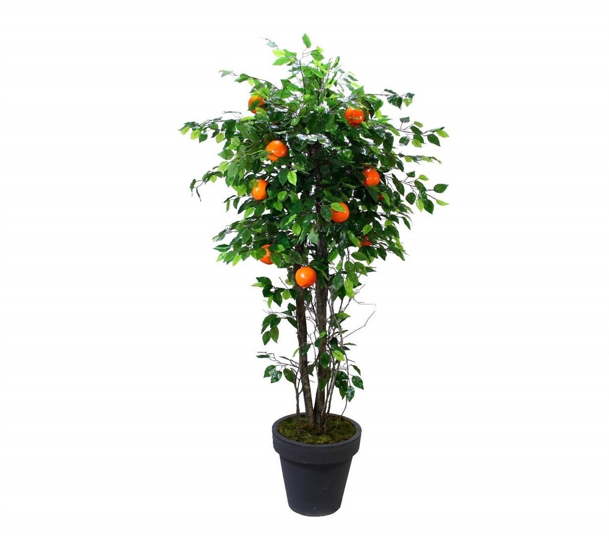 Yapay Portakal Ağaç 170 cm