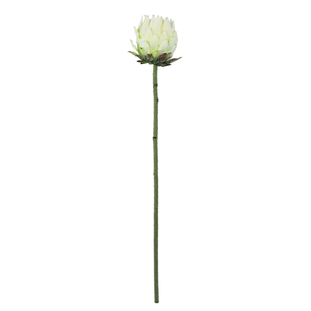 Yapay Protea Dal Beyaz 62 cm
