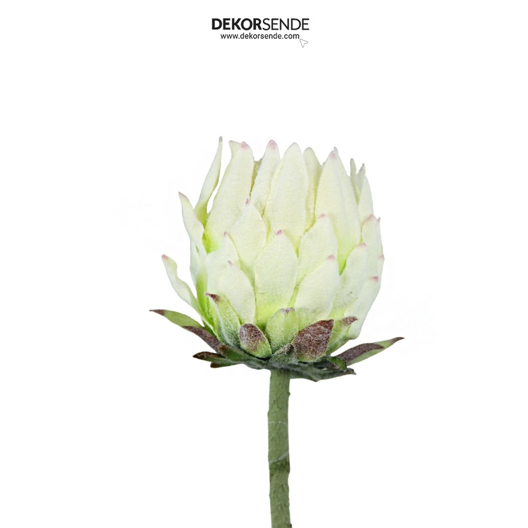 Yapay Protea Dal Beyaz 62 cm