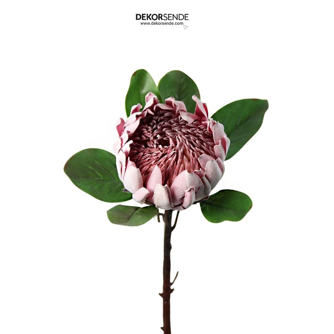 Yapay Protea Dal Pembe 70 cm