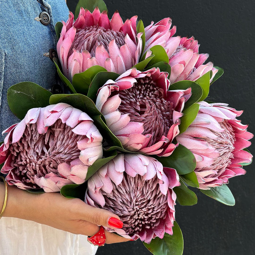 Yapay Protea Dal Pembe 70 cm
