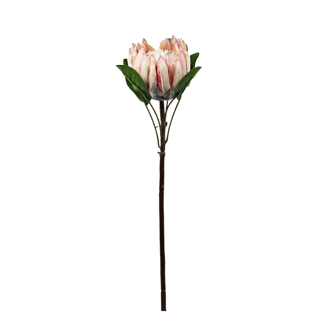 Yapay Protea Dal Pudra 70 cm