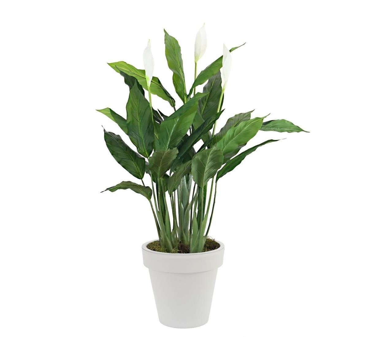 Yapay Spatifilyum Çiçek 110 cm