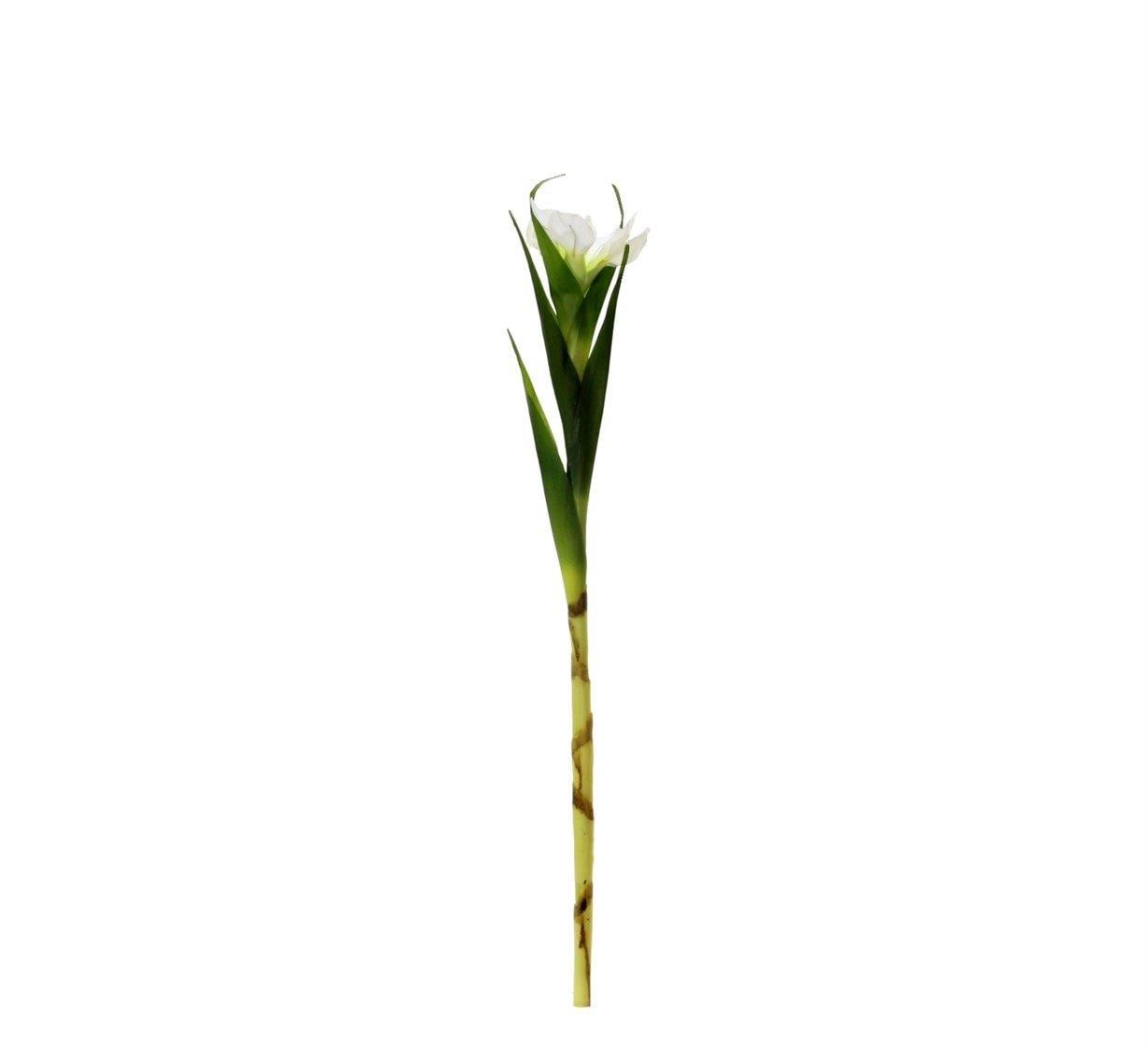 Yapay Tekli Single Eirel Dal 67 cm