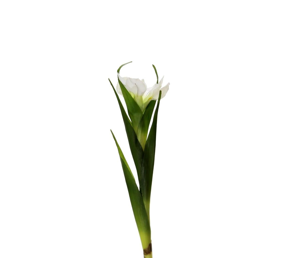 Yapay Tekli Single Eirel Dal 67 cm