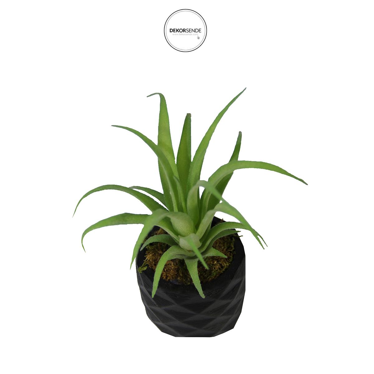 Yapay Tillandsia Sukulent Açık Yeşil 17 cm Saksılı