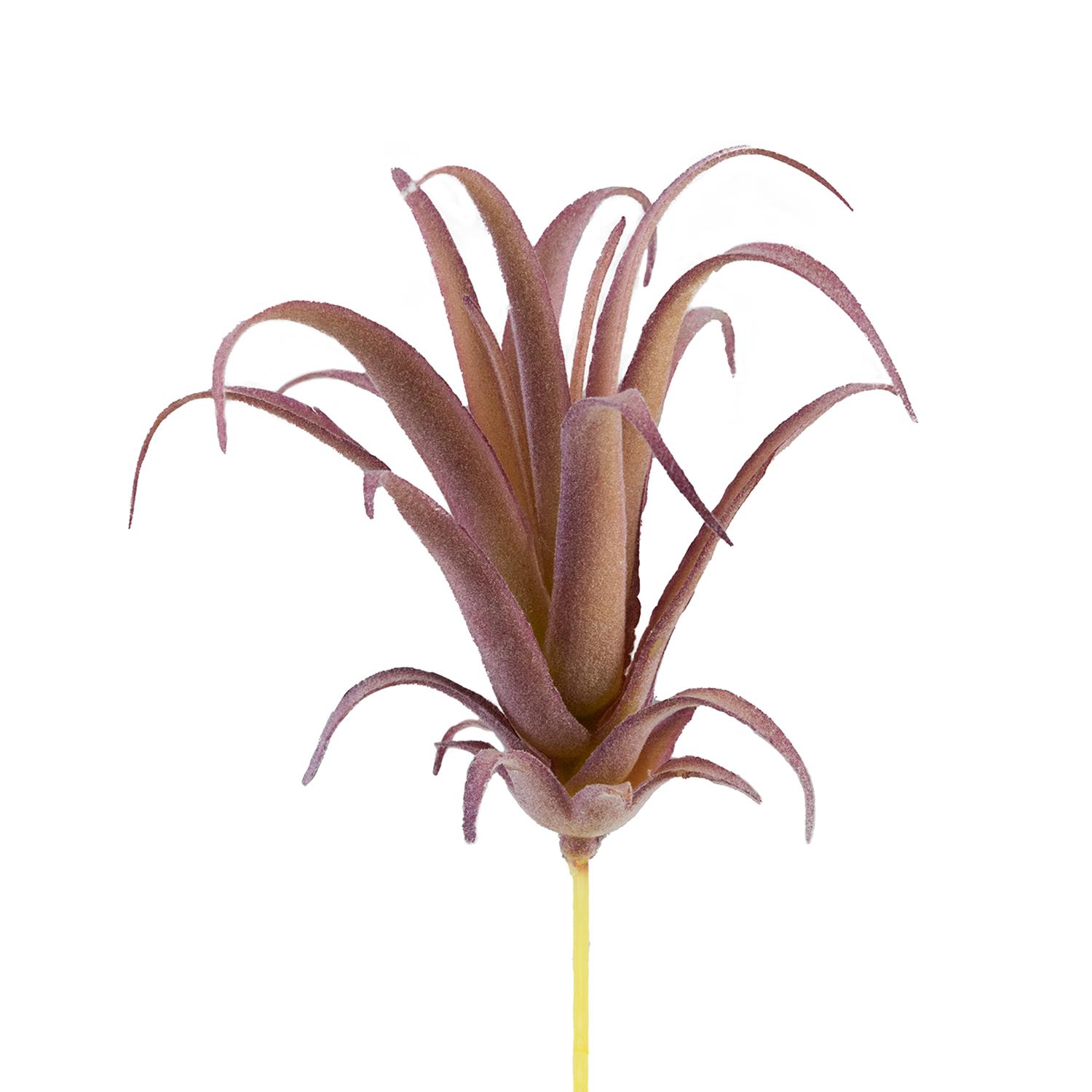 Yapay Sukulent Tüylü Tillandsia Lila 17 cm