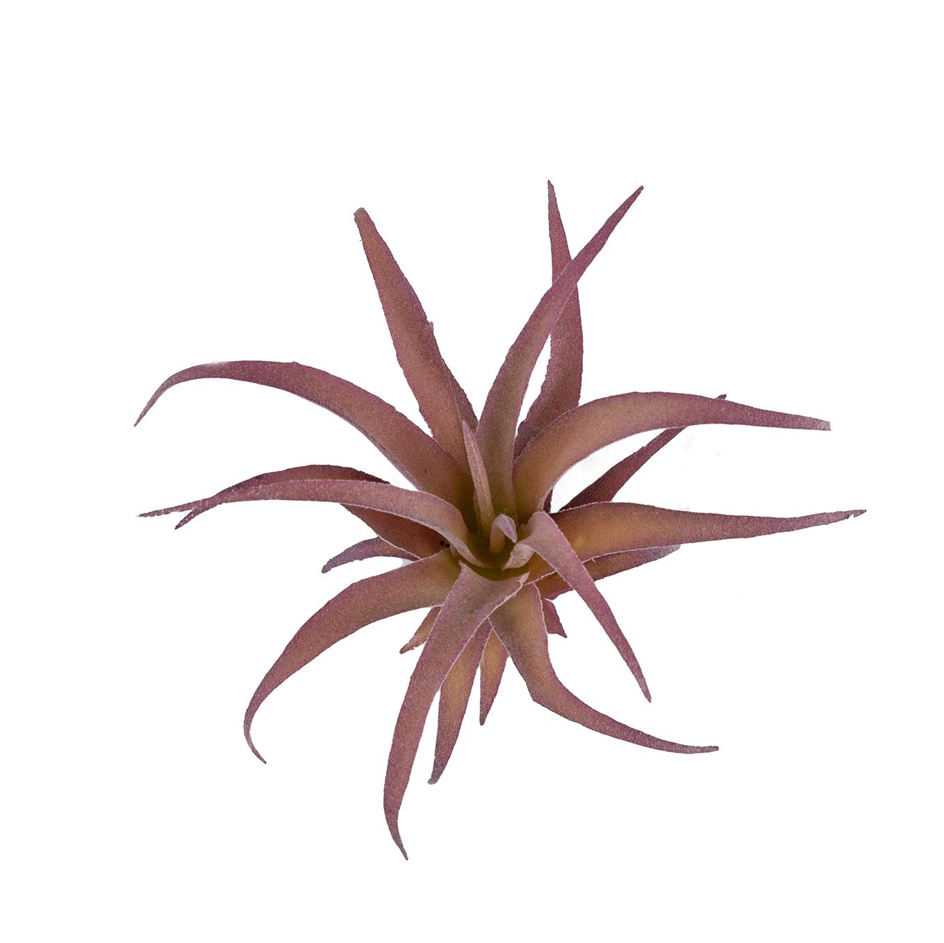 Yapay Sukulent Tüylü Tillandsia Lila 17 cm